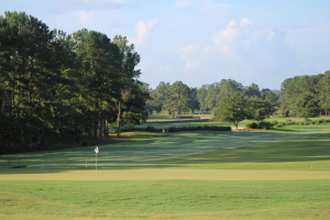 2015 Amateur Championship 017.JPG